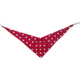 Polka Joy / Puantiyeli Neşe