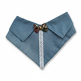 Dantelli Dokunuş / Laced Touch | FEDD’s Pet Style