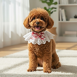 Kırmızı Kareli Dokunuş – Fisto Kumaşlı Fiyonklu Pet Yaka | FEDD’s Pet Style