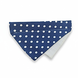 Playful Dots / Neşeli Noktalar | FEDD’s Pet Style