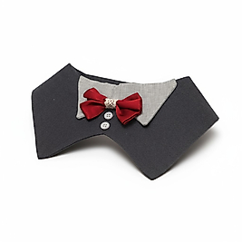 Akşam Şıklığı – Bordo Papyonlu Pet Yaka | FEDD’s Pet Style