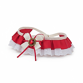 Kraliçe Dokunuşu – Taşlı Saten Fisto Pet Yaka | FEDD’s Pet Style