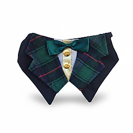 Klasik Blazer Yeşil Şıklık – FEDD’s Pet Style El Yapımı Özel Gün Yakası