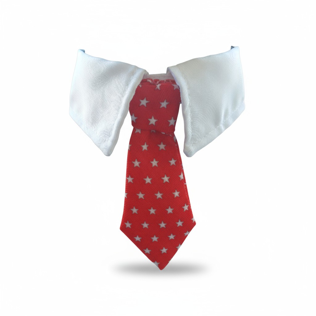 Plaza Boy | Stil Sahibi Kravatlı Yaka | El Yapımı Gömlek Yaka | FEDD’s Pet Style